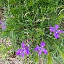 일학농장 이미지