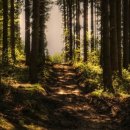 장구봉등산로 이미지