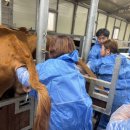 경기도축산진흥센터 이미지