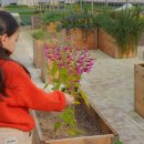 주남농장 이미지