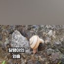 관란정觀瀾亭 이미지
