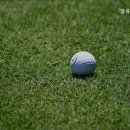금곡스크린골프 - 북구 금곡대로 479 | 금곡스크린골프
