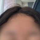 머리짓다 이미지