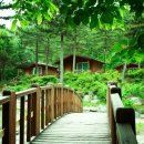 자연휴양림 관리사무소 이미지