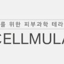 은성정보통신 이미지