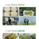 가브리엘 농장 이미지