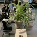 카페포스트 이미지