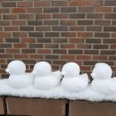 승리농장 이미지