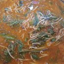 이천생선국수추어탕 이미지