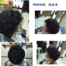 도봉-도봉-서울도봉-2550 | 가발싼곳,부천가발,노원가발,도봉구가발,남양주가발,의정부가발,일산가발,청량리가발,가발명가모