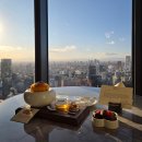 3804 | [페어몬트도쿄] 도쿄타워뷰 KING 룸 후기 (아코르플래티넘, 웰컴기프트, 마스코트 셰린)