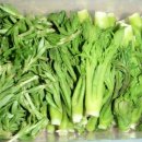 석지농장 이미지