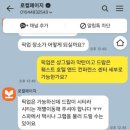 카카오트리(CACAOTREE) 네이버블로그