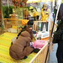 Itaewon Yellow 네이버블로그