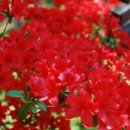 세한농원 이미지