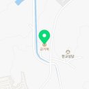 금거북 이미지