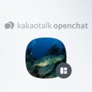 바다다이브