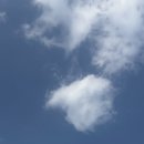 수부한의원 | [부산 경남] 손목 건초염 드퀘르벵 건초염 수술 후기 (부산 수부 전문 병원 건초염 )