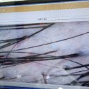 청당스팀 | [천안] 청당동 두피관리 "찰스리 천안청당점" 헤드스파후기