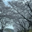 오티주유소