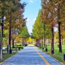 천안종합휴양관광지 이미지