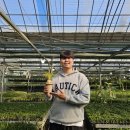 조성호농장 이미지