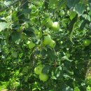 동현농장2 이미지