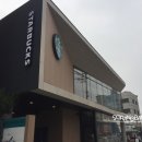 스타벅스 안양운동장사거리DT점 이미지