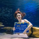 풍성한빌딩 이미지