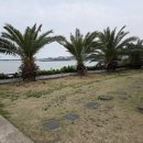 제주산토리니 | [제주도카페]제주 성산 섭지코지 카페 뻥뚫린 오션뷰맛집: 하와이안 비치카페 후기