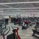 바디다짐 이미지