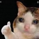 논현2동-5 이미지