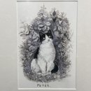 고양이를 사랑하는 남자 이미지