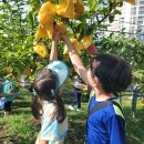 수원-1480 이미지