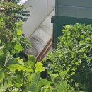 누교보건진료소 이미지