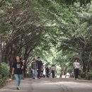 아름다운 숲길 화장실 이미지