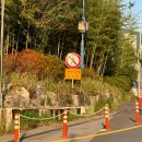 롯데리아 하나로부산점 이미지