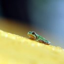 후평숲캠핑장 이미지