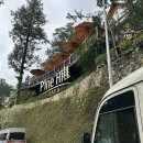 파인힐마트 이미지