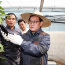 백선기 농장 이미지