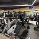 레벨업휘트니스 이미지