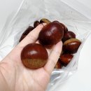 아람약품 이미지