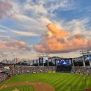 와부농협조안지점 | 20250806