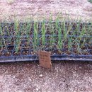 정례농장 이미지