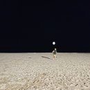 경포파인 이미지