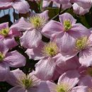 오늘밤에 이미지