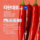 흥농종묘 이미지