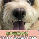 방학동물외과센터 이미지