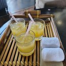 JJ당구장 | 나트랑 아미아나 리조트 셔틀,수영장, 조식, 스노쿨링, 액티비티, 배달 총정리