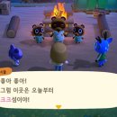섬열매 이미지